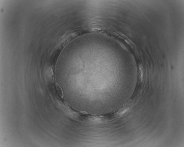 X0000065950523200603031106
