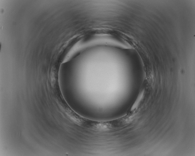 X0000065950566200603031105