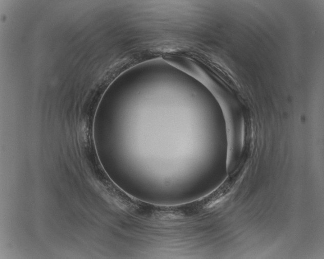 X0000065950597200603031105