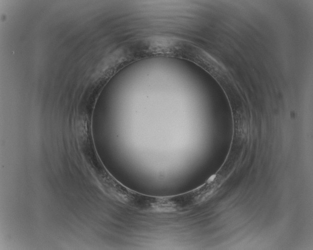 X0000065950603200603031104