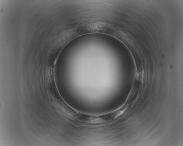 X0000065950605200603031104