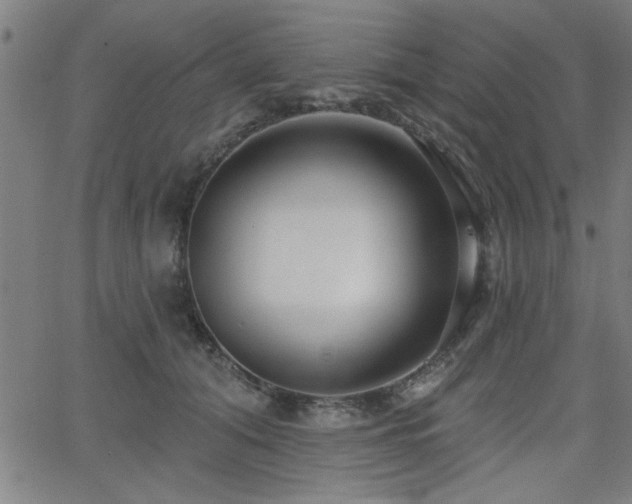 X0000065950608200603031104