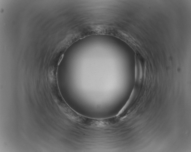 X0000065950611200603031104