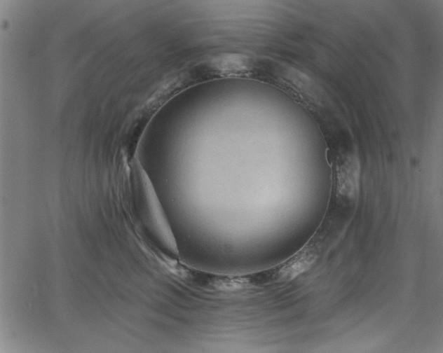 X0000065950618200603031104