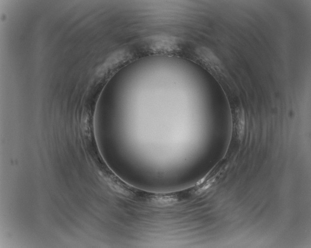 X0000065950619200603031104