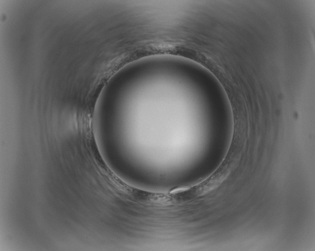 X0000065950624200603031104