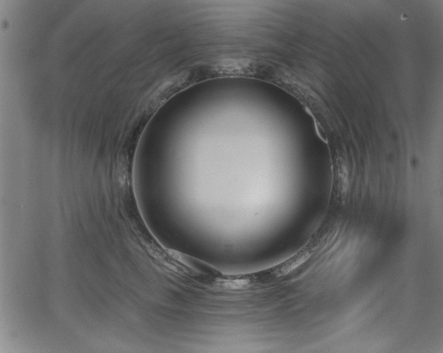 X0000065950665200603031104