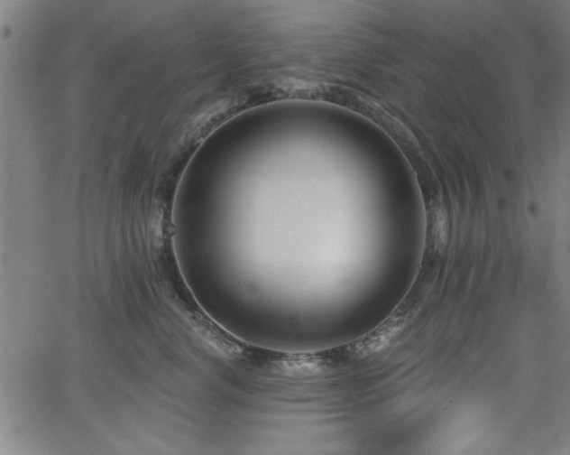 X0000065950668200603031104
