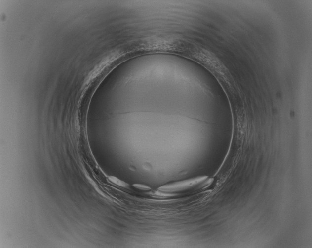 X0000065950674200603031103