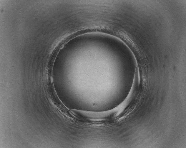 X0000065950676200603031103