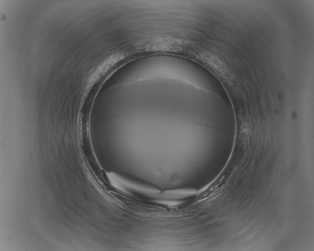 X0000065950678200603031103