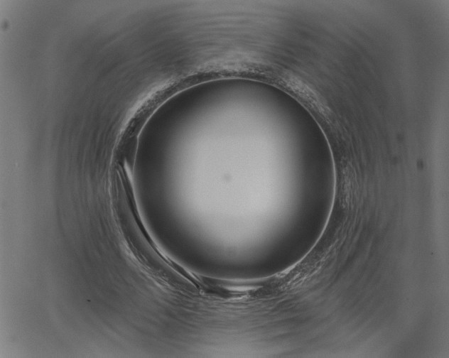 X0000065950680200603031103