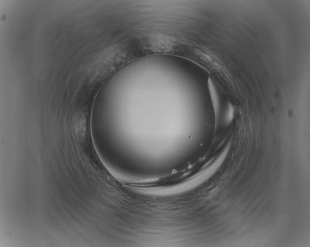 X0000065950697200603031103