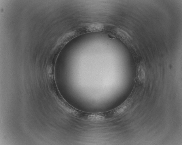 X0000065950714200603031103