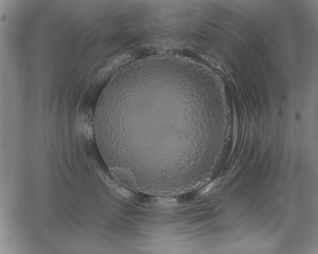 X0000065950719200603031103