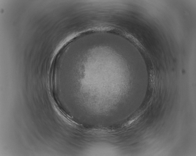 X0000065950726200603031102