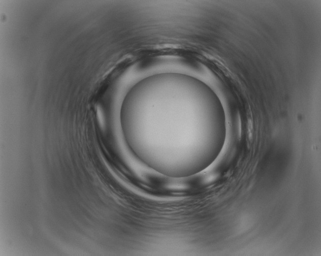 X0000065950750200603031102