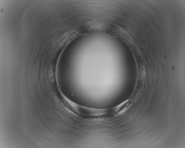 X0000065950764200603031102