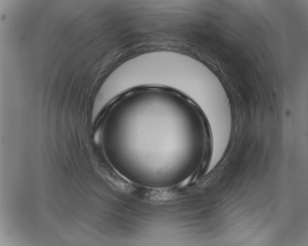 X0000065950766200603031102
