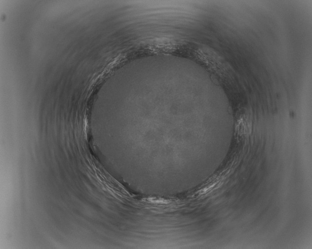 X0000065950772200603031102