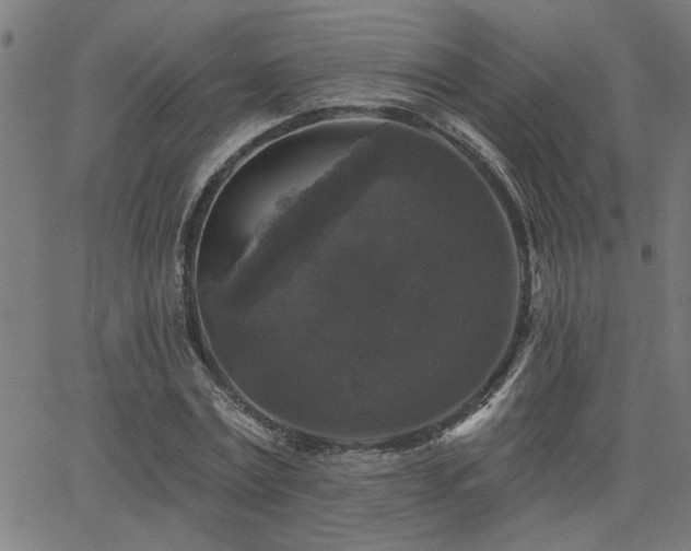 X0000065950779200603031102