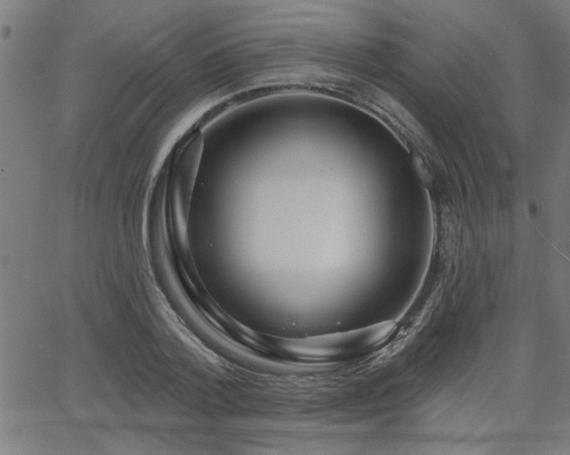 X0000065950788200603031101