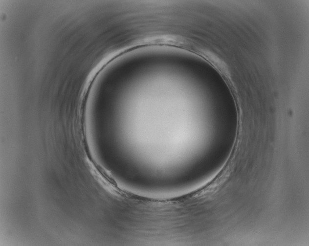 X0000065950816200603031101