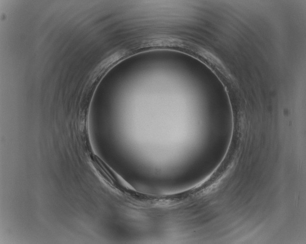 X0000065950841200603031101