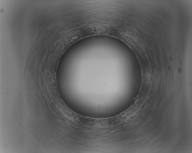 X0000065950865200603031100