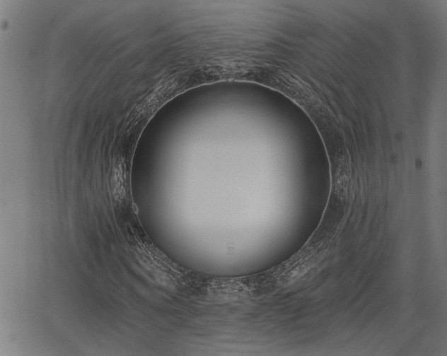 X0000065950866200603031100