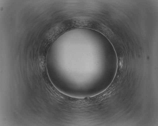 X0000065950867200603031100