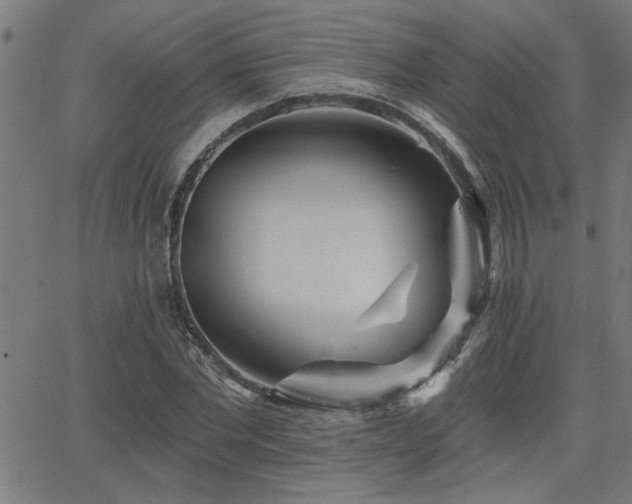 X0000065950877200603031100