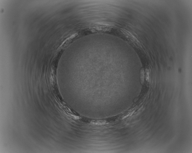X0000065950915200603031059