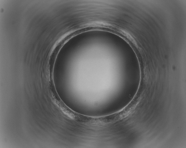 X0000065950931200603031059