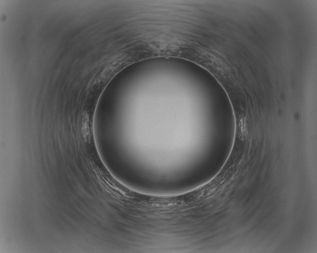 X0000065950963200603031059