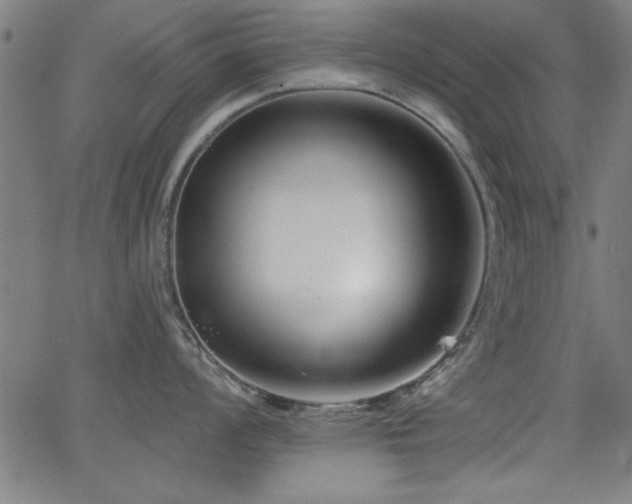 X0000065951008200603031058