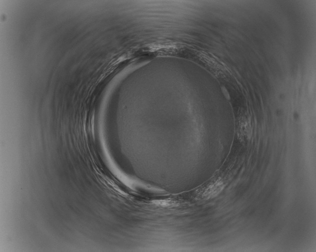 X0000065951010200603031057