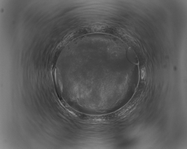 X0000065951011200603031057