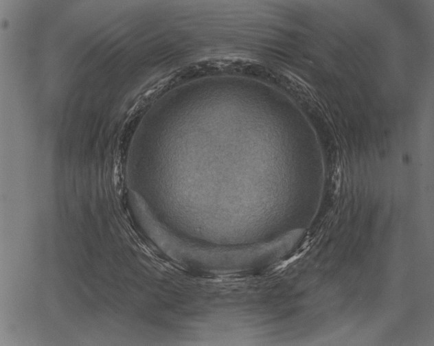 X0000065951014200603031057