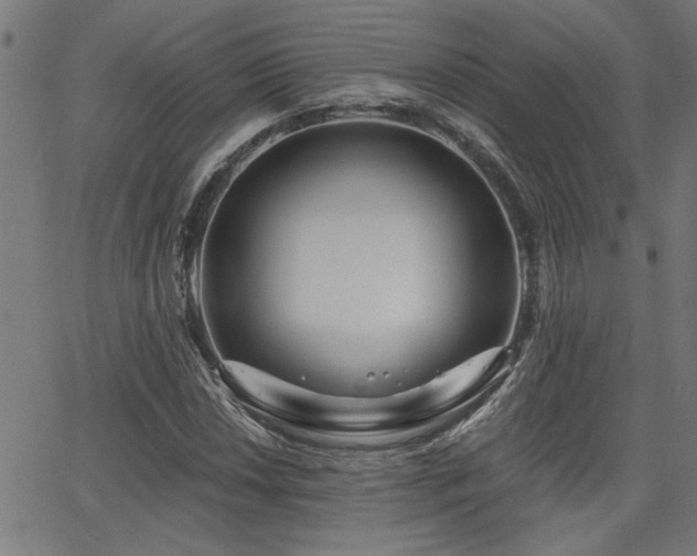 X0000065951018200603031057