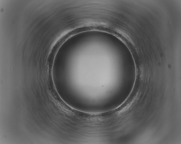 X0000065951021200603031057
