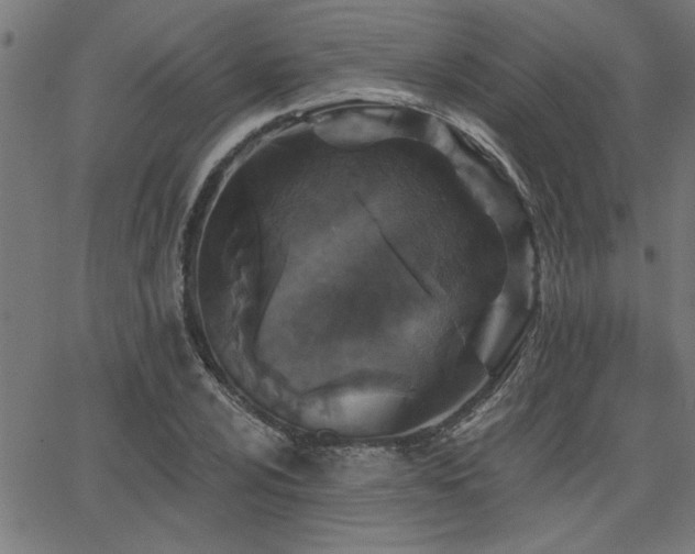 X0000065951024200603031057