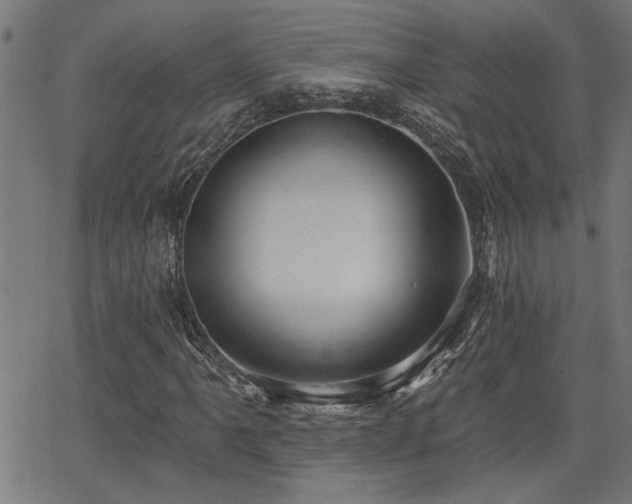 X0000065951061200603031057