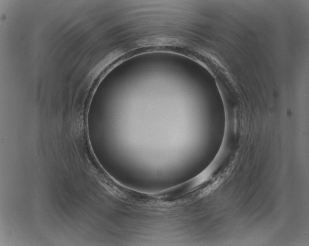 X0000065951073200603031057
