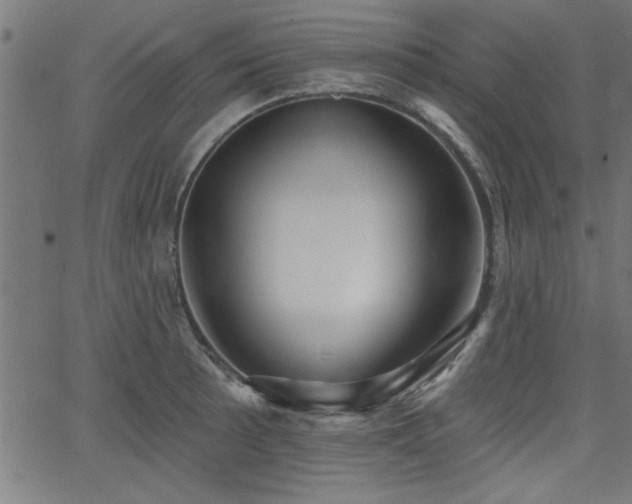 X0000065951089200603031056