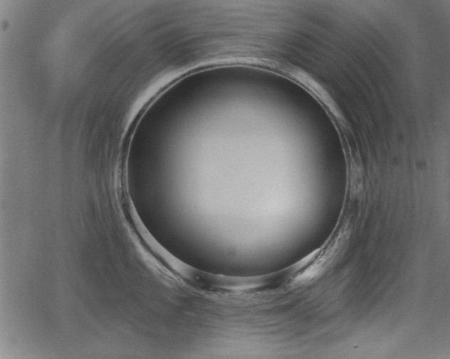 X0000065951101200603031056