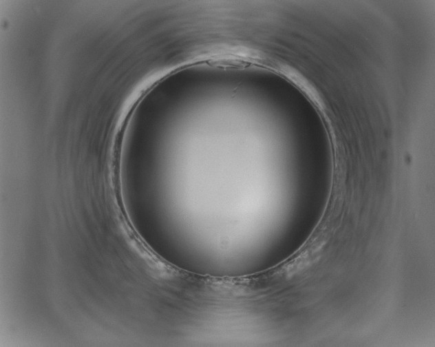 X0000065951104200603031056