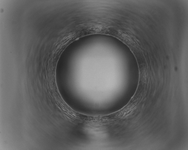 X0000065951105200603031055