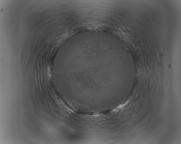 X0000065951106200603031055