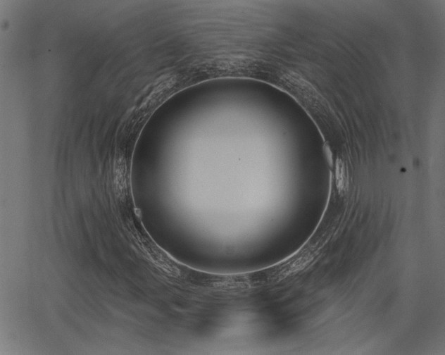 X0000065951107200603031055